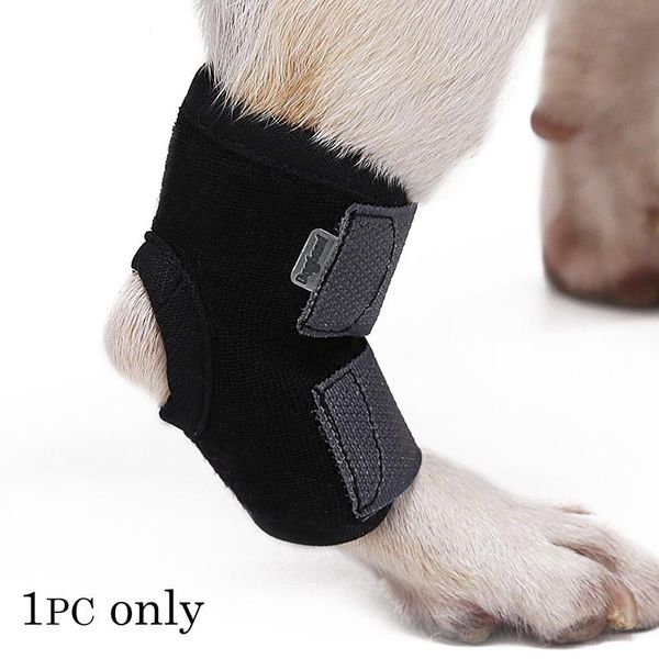 dog apparel 1pc leg bandage strap pet knee pad hock brace protector joint wrap anti-twist fixed cover
dog apparel 1pc leg bandage strap pet knee pad hock brace protector joint wrap anti-twist fixed cover