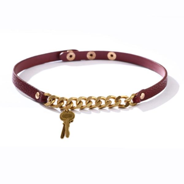 chokers 2021 fashion and luxury woman chains leather necklace with key shape red color jewelry gift to girl friend, Golden;silver
chokers 2021 fashion and luxury woman chains leather necklace with key shape red color jewelry gift to girl friend, Golden;silver