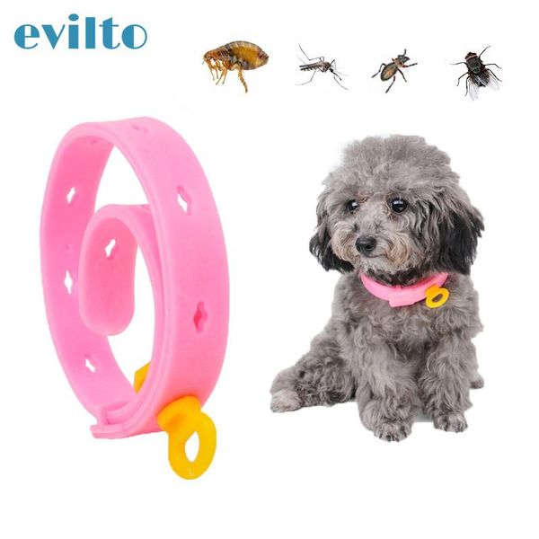 dog collars & leashes 1pcs adjustable pet collar for flea antiflea anti tick mite louse protect rubber necklace supply
dog collars & leashes 1pcs adjustable pet collar for flea antiflea anti tick mite louse protect rubber necklace supply