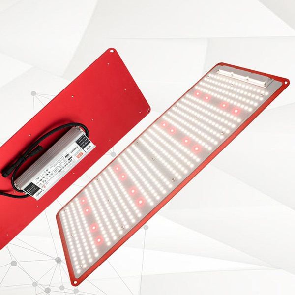 kingbrite led 240w ip67 waterproof samsung lm301h 3000k/3500k cree xp-e2 660nm qb288 v4 full spectrum grow light lights
kingbrite led 240w ip67 waterproof samsung lm301h 3000k/3500k cree xp-e2 660nm qb288 v4 full spectrum grow light lights