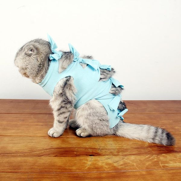 cat costumes jizizi pet anti-licking sterilization clothing summer comfortable breathable
cat costumes jizizi pet anti-licking sterilization clothing summer comfortable breathable