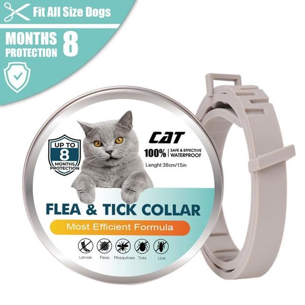 cat collars & leads pet removes flea and tick collar for dogs cats up to 8 month anti-mosquito insect repellent necklace
cat collars & leads pet removes flea and tick collar for dogs cats up to 8 month anti-mosquito insect repellent necklace