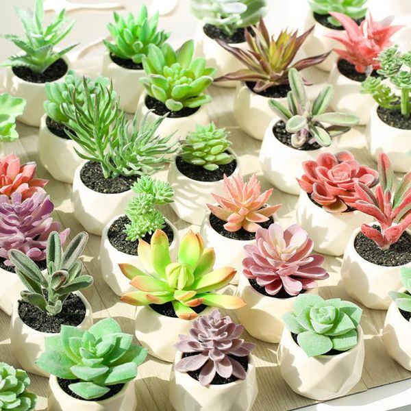 artificial succulents potted flower bonsai fake plants for wedding home party landscape garden decoration decorative flowers & wreaths
artificial succulents potted flower bonsai fake plants for wedding home party landscape garden decoration decorative flowers & wreaths