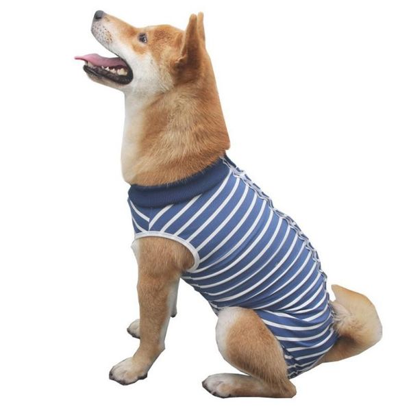 dog apparel pet suit sterilization prevent lick wear cloth for cats dogs recovery vest clothes jumpsuit shedding hair bodysuit
dog apparel pet suit sterilization prevent lick wear cloth for cats dogs recovery vest clothes jumpsuit shedding hair bodysuit