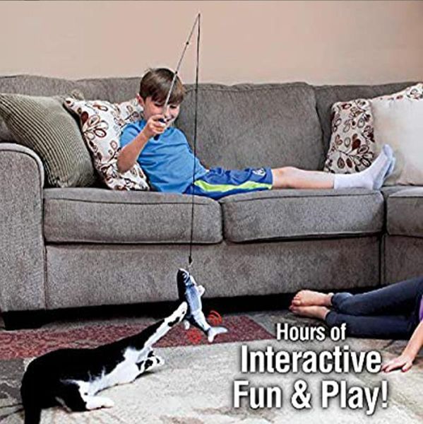 the same electric fish teases cat, simulation can jump usb cat toy p toys interactive
the same electric fish teases cat, simulation can jump usb cat toy p toys interactive