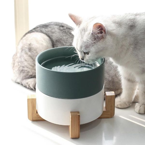 cat bowls & feeders ceramic bowl pet feeder feeding goods for cats puppy food water container storage waterer accessories animal supplies
cat bowls & feeders ceramic bowl pet feeder feeding goods for cats puppy food water container storage waterer accessories animal supplies