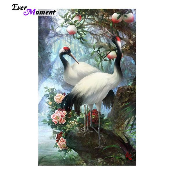 diamond painting 5d embroidery mosaic lover birds pictures cross stitch knitting needles wedding decoration hobbies crafts asf510
diamond painting 5d embroidery mosaic lover birds pictures cross stitch knitting needles wedding decoration hobbies crafts asf510