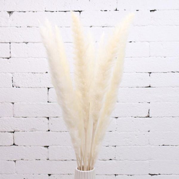 decorative flowers & wreaths 20pcs wedding flower bunch natural dried small pampas for home decor beige
decorative flowers & wreaths 20pcs wedding flower bunch natural dried small pampas for home decor beige