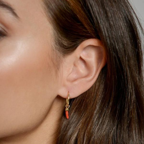 hoop & huggie 2021 gold filled red enamel earring women wedding gift little charming delicate fashion jewelry, Golden;silver
hoop & huggie 2021 gold filled red enamel earring women wedding gift little charming delicate fashion jewelry, Golden;silver