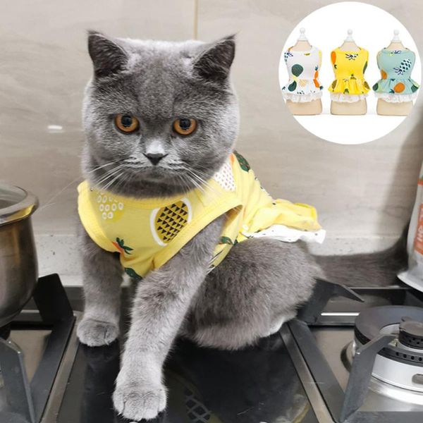 cat costumes summer pet clothes dress for cats pineapple skirt t shirt sweet mascotas stephen dresses costume roupa para gato
cat costumes summer pet clothes dress for cats pineapple skirt t shirt sweet mascotas stephen dresses costume roupa para gato