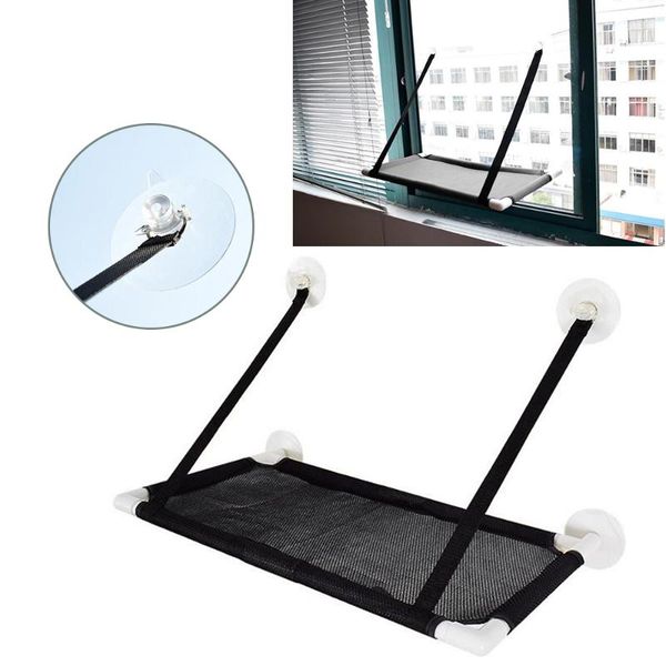 cat beds & furniture 10kg pet hammock basking window mounted seat home suction cup hanging bed mat lounge cats kitten supplies
cat beds & furniture 10kg pet hammock basking window mounted seat home suction cup hanging bed mat lounge cats kitten supplies