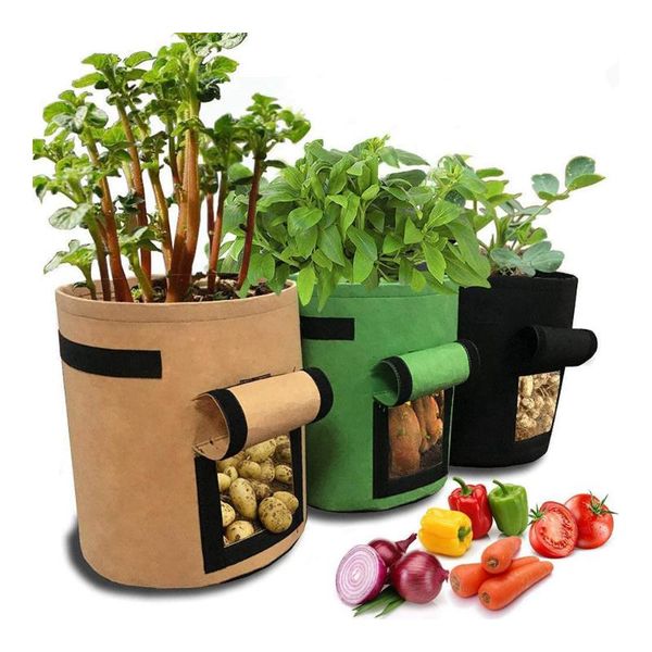planters & pots root control bag planting green plant growing bags with visualized window container for garden nursery plants
planters & pots root control bag planting green plant growing bags with visualized window container for garden nursery plants
