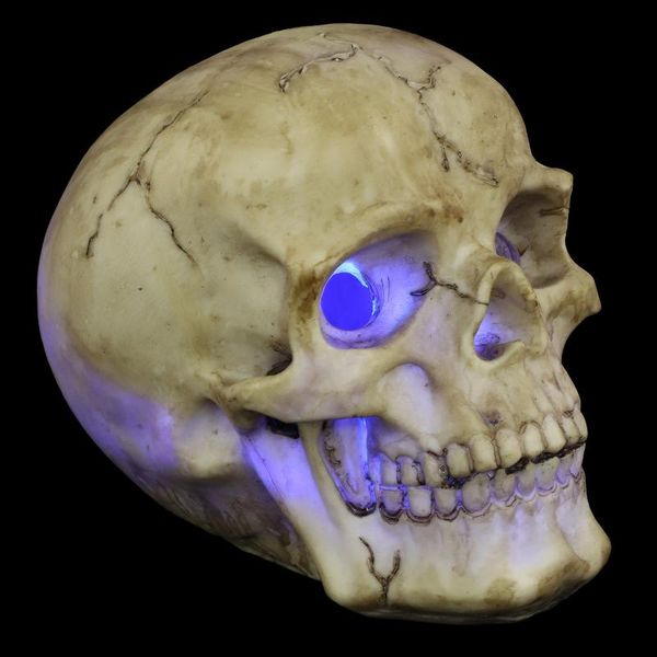 vases 1pc home vase adornment chic flower holder decorative resin craft
vases 1pc home vase adornment chic flower holder decorative resin craft