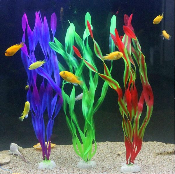 decorations 1pcs fish tank decoration aquarium ornaments purple green red artificial aquatic plastic kelp grass plant landscape decor
decorations 1pcs fish tank decoration aquarium ornaments purple green red artificial aquatic plastic kelp grass plant landscape decor
