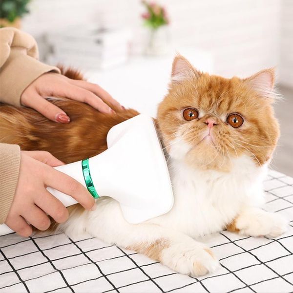 2-in-1 portable pet dog dryer hair and comb brush cat blower low noise ey669 electric brushes
2-in-1 portable pet dog dryer hair and comb brush cat blower low noise ey669 electric brushes