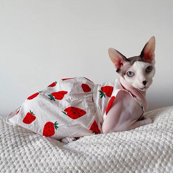 cat costumes sphinx dresses luxury clothes for hairless cats summer dog fancy skirt kittens vest costume puppy cute strawberry clothing
cat costumes sphinx dresses luxury clothes for hairless cats summer dog fancy skirt kittens vest costume puppy cute strawberry clothing