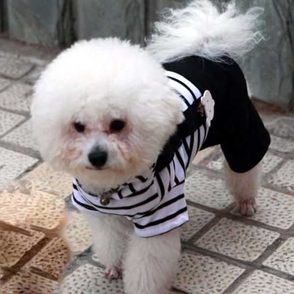 spring summer dog clothes black white striped pet jumpsuit small rompers zl80 apparel
spring summer dog clothes black white striped pet jumpsuit small rompers zl80 apparel
