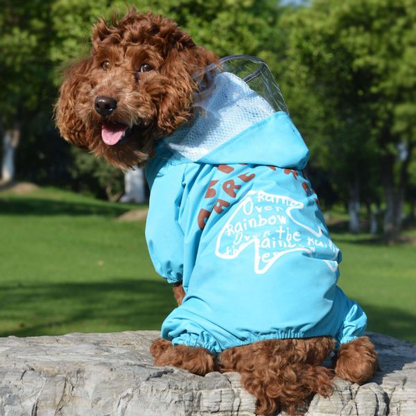 teddy vip pet bear golden puppies transparent hat poncho little dog four legged waterproof raincoat
teddy vip pet bear golden puppies transparent hat poncho little dog four legged waterproof raincoat