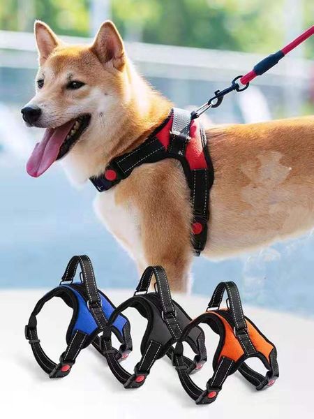 dog collars & leashes harness leash rope vest chest strap small teddy golden retriever large explosion-proof chong pet supplies
dog collars & leashes harness leash rope vest chest strap small teddy golden retriever large explosion-proof chong pet supplies