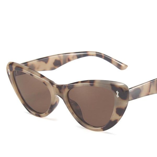 outdoor eyewear fashion vintage cat eye sunglasses for men women classic brand design luxury sun glasses trend plastic frame uv400
outdoor eyewear fashion vintage cat eye sunglasses for men women classic brand design luxury sun glasses trend plastic frame uv400