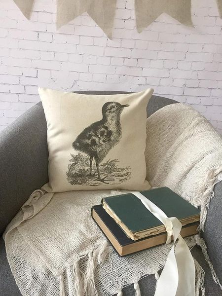 canvas pillow cover, duckling throw pillowcase, baby duck, animal decor, spring pillowcase18x18inch/45x45cm case
canvas pillow cover, duckling throw pillowcase, baby duck, animal decor, spring pillowcase18x18inch/45x45cm case