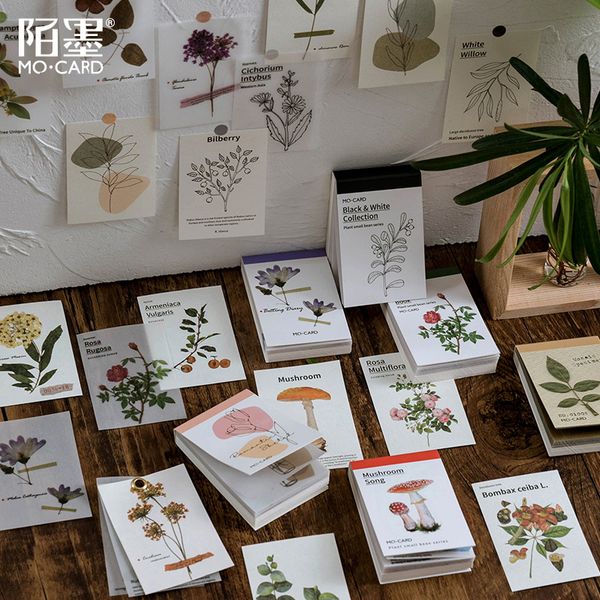 80 sheets/pack vintage sticker set nature plant mushroom herbal leaf decorative label for scrapbooking diary book album planner
80 sheets/pack vintage sticker set nature plant mushroom herbal leaf decorative label for scrapbooking diary book album planner