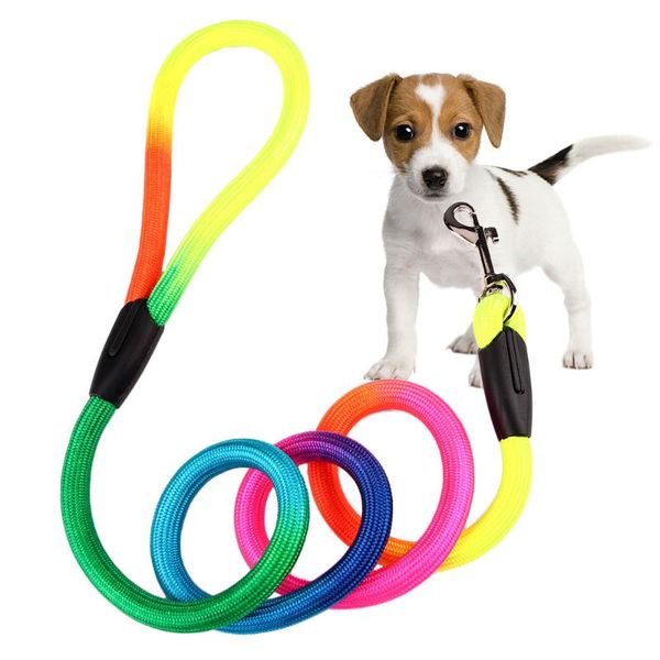 dog collars & leashes pet traction rope weave nylon belt round training fashion colorful practical multi-function convenient
dog collars & leashes pet traction rope weave nylon belt round training fashion colorful practical multi-function convenient