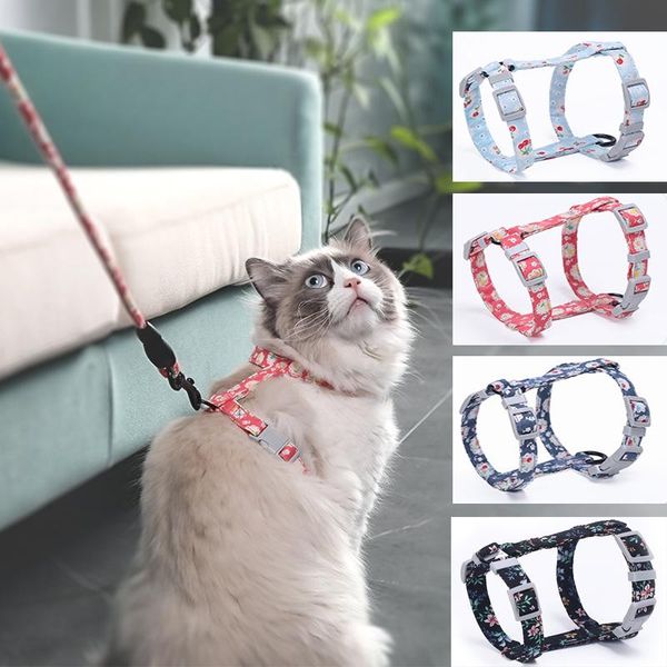 cat collars & leads dog collar harness leash traction rope chest strap pet safe gentle leader come with me kitty bungee drop
cat collars & leads dog collar harness leash traction rope chest strap pet safe gentle leader come with me kitty bungee drop