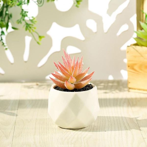 decorative flowers & wreaths easy to maintain multicolor adorable deskfake succulent plant artificial for gifts
decorative flowers & wreaths easy to maintain multicolor adorable deskfake succulent plant artificial for gifts