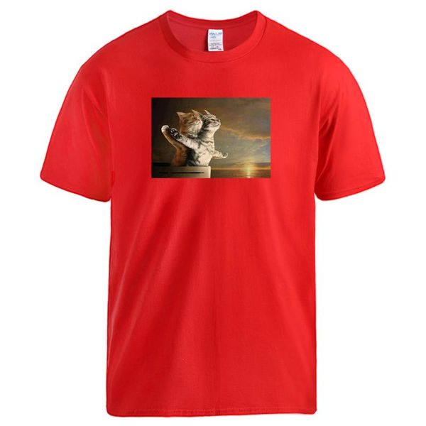 men's t-shirts funny design titanic cat t shirts mens vintage style short sleeve hip hop harajuku streetwear sportswear, White;black
men's t-shirts funny design titanic cat t shirts mens vintage style short sleeve hip hop harajuku streetwear sportswear, White;black