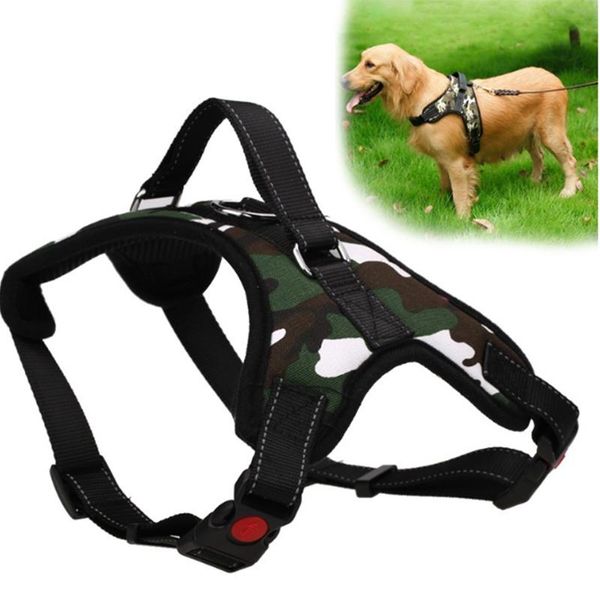 dog collars & leashes pet products for vest reflective walking lead leash medium big
dog collars & leashes pet products for vest reflective walking lead leash medium big