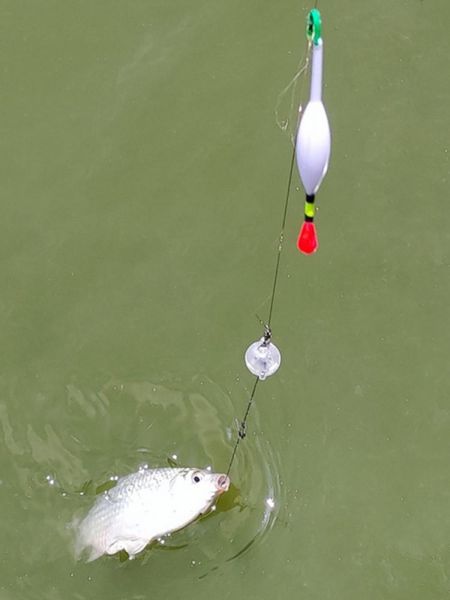 braid line automatic fishing hook trigger stainless steel spring bait catapult full speed accessories
braid line automatic fishing hook trigger stainless steel spring bait catapult full speed accessories