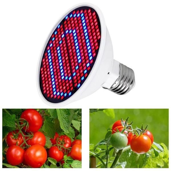 phyto lamp full spectrum led grow plant light fitolamp for indoor seedlings flower fitolampy tent box lights
phyto lamp full spectrum led grow plant light fitolamp for indoor seedlings flower fitolampy tent box lights