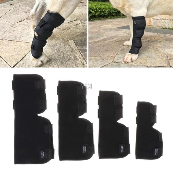 dog apparel 1 pair legs brace pet knee hock protector pad therapeutic support shockproof
dog apparel 1 pair legs brace pet knee hock protector pad therapeutic support shockproof