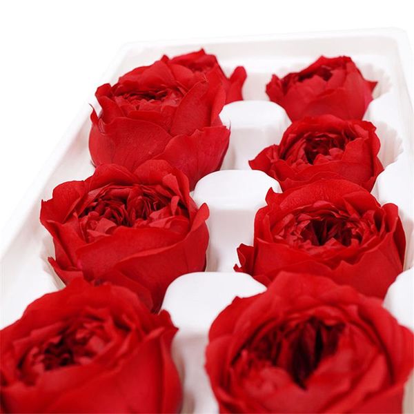 decorative flowers & wreaths 8pcs dried flower head fresh austin preserved rose 4-5cm single a level home decor diy material package keychai
decorative flowers & wreaths 8pcs dried flower head fresh austin preserved rose 4-5cm single a level home decor diy material package keychai