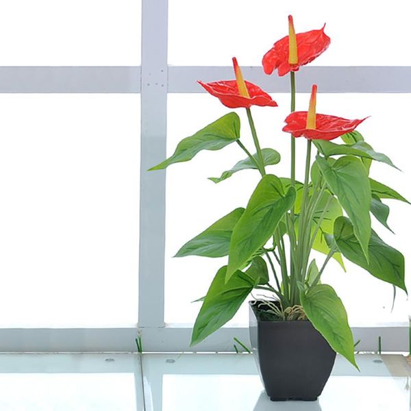 decorative flowers & wreaths simulation bonsai flower calla green plant artificial fake bouquet garen living room decoration flores artifici
decorative flowers & wreaths simulation bonsai flower calla green plant artificial fake bouquet garen living room decoration flores artifici