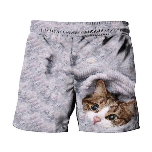 men's shorts 3d fun pet cat sweatpants casual knee length summer quick-drying size s-6xl, White;black
men's shorts 3d fun pet cat sweatpants casual knee length summer quick-drying size s-6xl, White;black