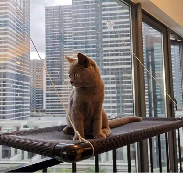 pet supplies cat hammock super screw suction balcony climbing frame bed stitching design litter beds & furniture
pet supplies cat hammock super screw suction balcony climbing frame bed stitching design litter beds & furniture