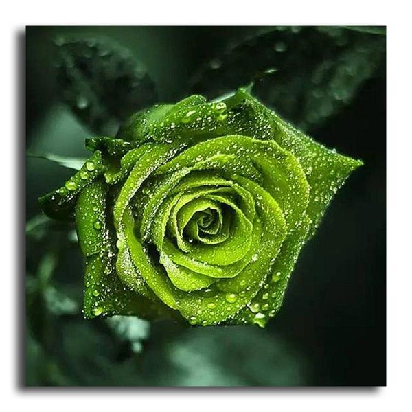 diamond painting 5d diy cross stitch picture square rhinestone mosaic flower green rose embroidery decoration
diamond painting 5d diy cross stitch picture square rhinestone mosaic flower green rose embroidery decoration