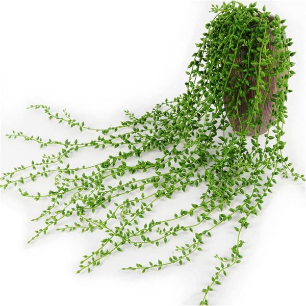 green artificial plants garland hanging fake plant needles vine branches diy flower wall home living room wedding decoration decorative flow
green artificial plants garland hanging fake plant needles vine branches diy flower wall home living room wedding decoration decorative flow