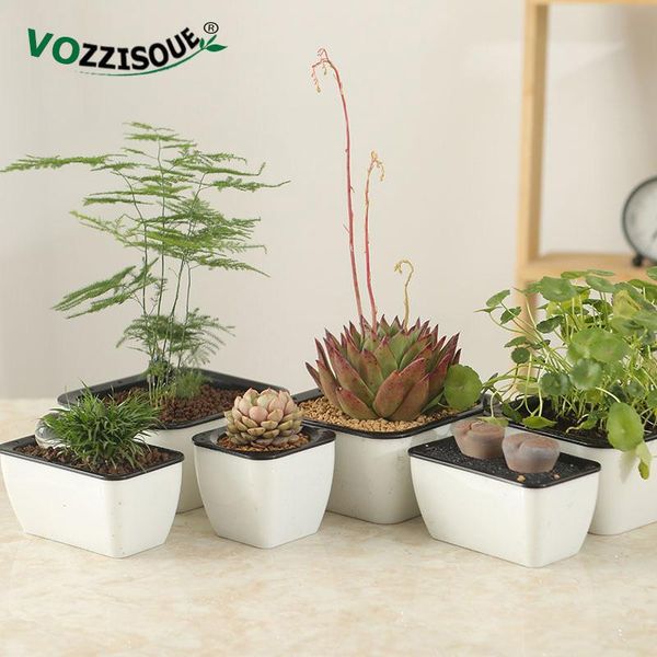 planters & pots 2pcs modern automatic watering flower pot lazy water absorption plastic resin succulent planting
planters & pots 2pcs modern automatic watering flower pot lazy water absorption plastic resin succulent planting
