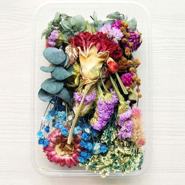 decorative flowers & wreaths 1 box natural dried flower dry plants real epoxy accessories t9b0 necklace diy making craft candle
decorative flowers & wreaths 1 box natural dried flower dry plants real epoxy accessories t9b0 necklace diy making craft candle