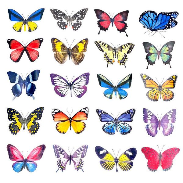 window stickers 20pcs assorted diy static sticker butterfly shape home clings glass decor anti collision pvc deterrent decal non adhesive
window stickers 20pcs assorted diy static sticker butterfly shape home clings glass decor anti collision pvc deterrent decal non adhesive
