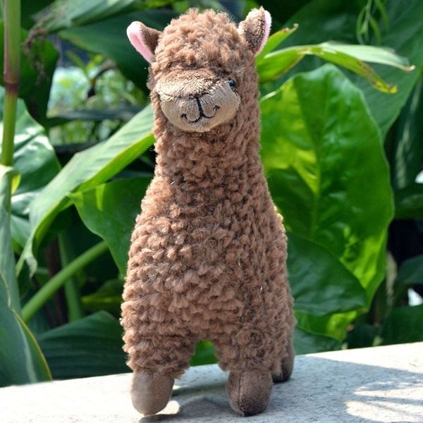 3523cm alpaca llama plush for cute stuffed animal dolls soft kids toys gift children room decor
3523cm alpaca llama plush for cute stuffed animal dolls soft kids toys gift children room decor