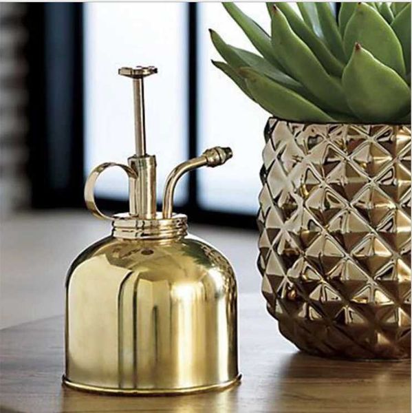 watering equipments fles nordic engels-stijl vintage messing succulenten gouden tuinieren spuiten kan water pot garden supplies
watering equipments fles nordic engels-stijl vintage messing succulenten gouden tuinieren spuiten kan water pot garden supplies
