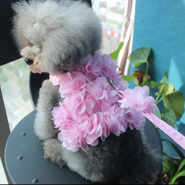 dog collars & leashes sweet floral pet harnesses vest no pull adjustable chihuahua puppy cat harness leash set for small medium dogs arnes p
dog collars & leashes sweet floral pet harnesses vest no pull adjustable chihuahua puppy cat harness leash set for small medium dogs arnes p