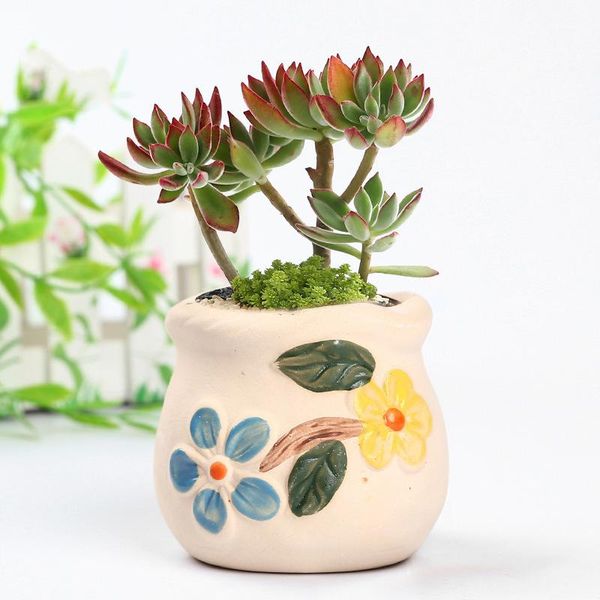planters & pots korean ins floret ceramic succulent flower stoare green plant thumb pot balcony potted home garden
planters & pots korean ins floret ceramic succulent flower stoare green plant thumb pot balcony potted home garden