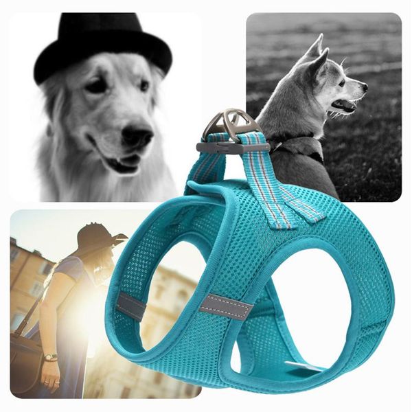 dog collars & leashes adjustable cat leash and harness set lightweight kitten easy control breathable step-in vest reflective strip fpi
dog collars & leashes adjustable cat leash and harness set lightweight kitten easy control breathable step-in vest reflective strip fpi