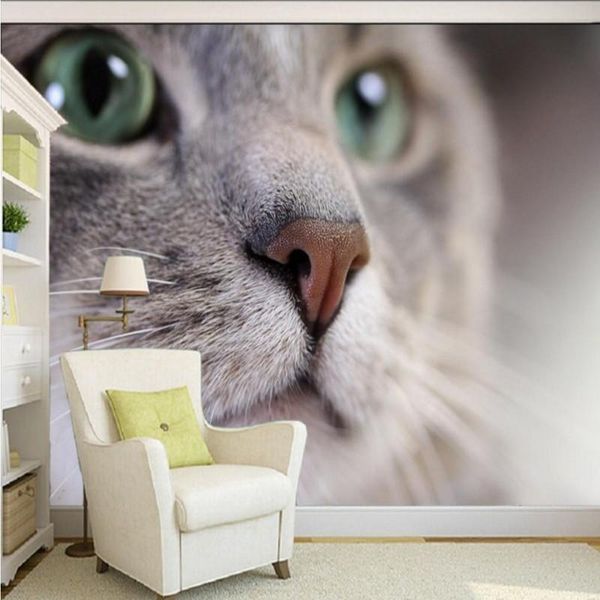 wallpapers drop po wallpaper hd beautiful cute cat pography close tv background wall living room lobby mural
wallpapers drop po wallpaper hd beautiful cute cat pography close tv background wall living room lobby mural