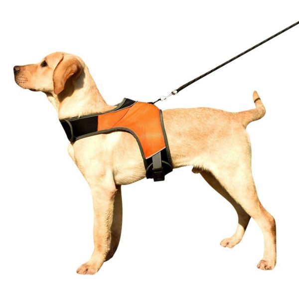 dog collars & leashes k-shaped luminous led harness for pet chest medium and large dogs night travel drop bulk order
dog collars & leashes k-shaped luminous led harness for pet chest medium and large dogs night travel drop bulk order